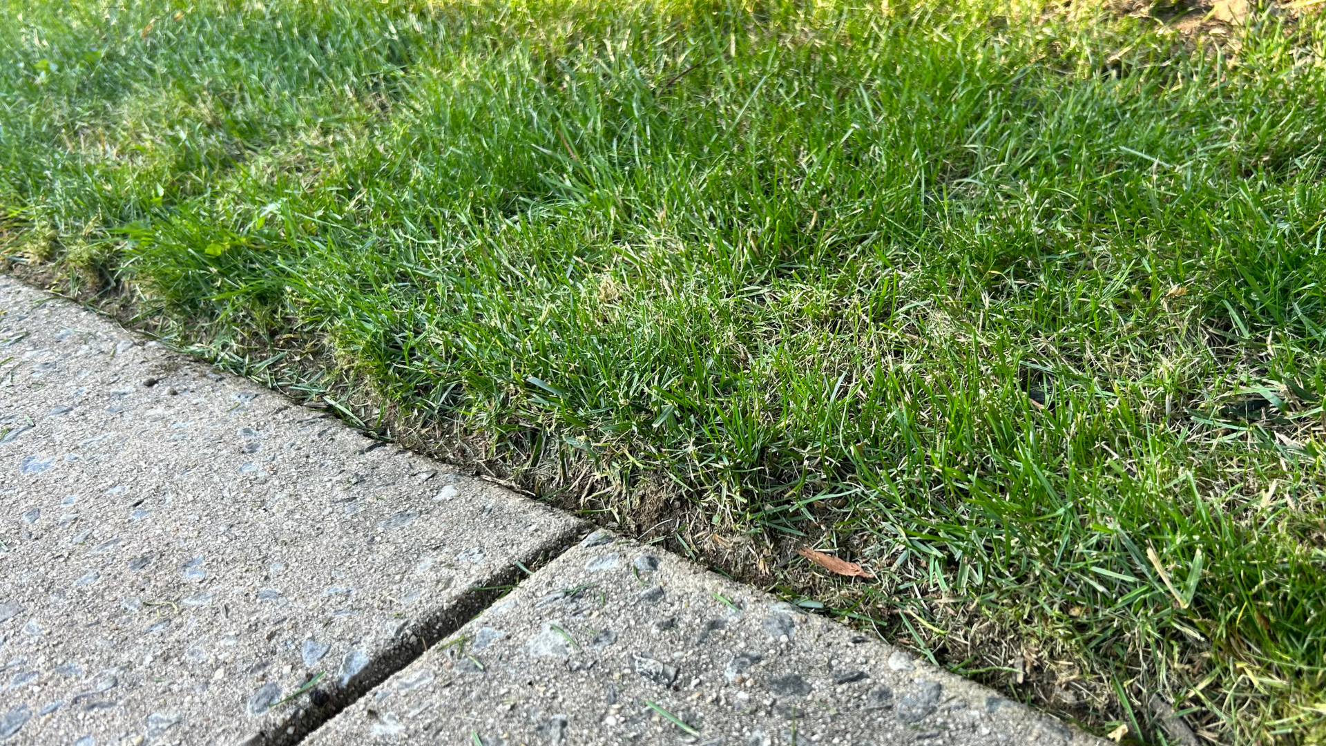 After lawn service