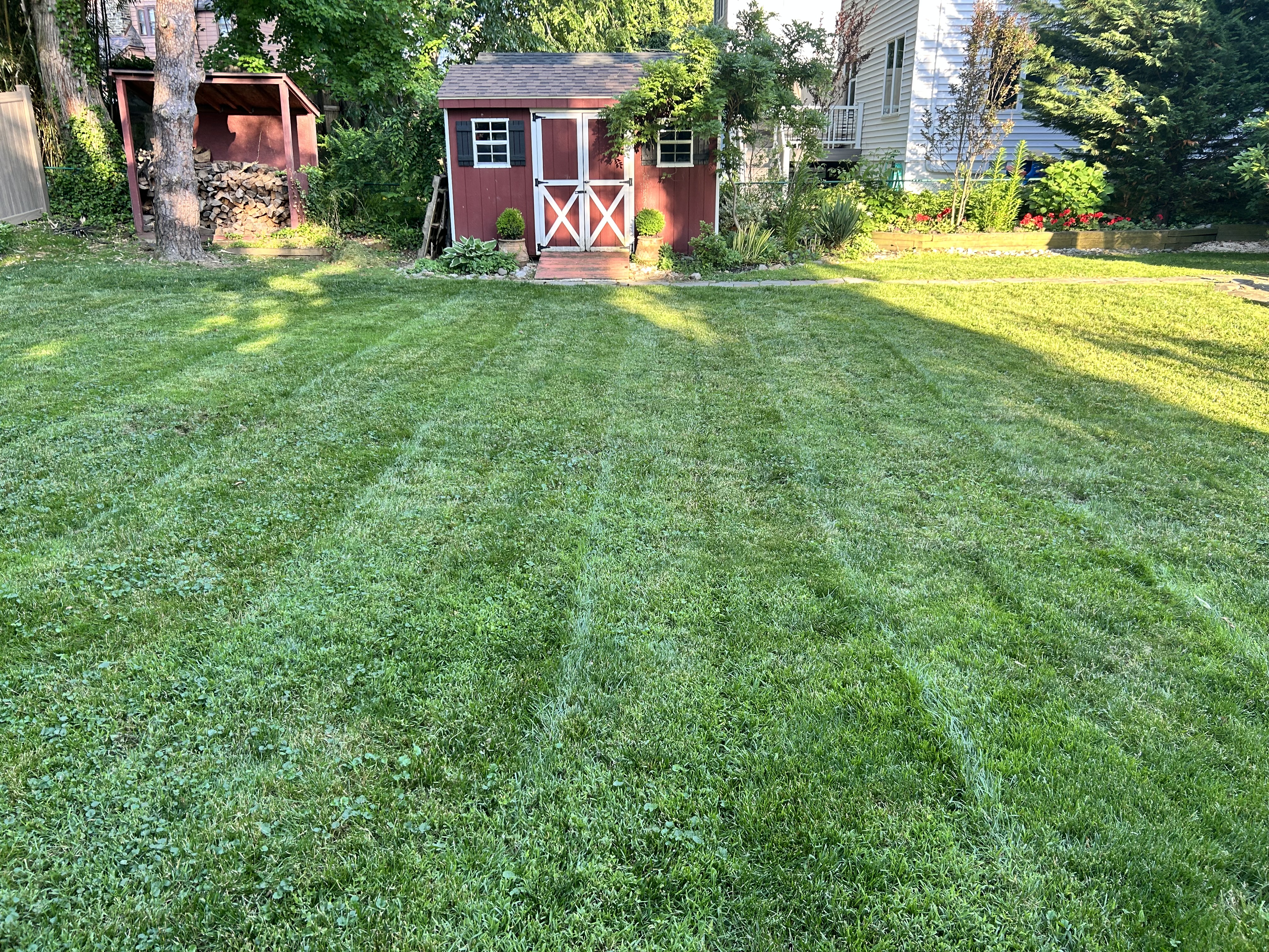 Lawn photo 1