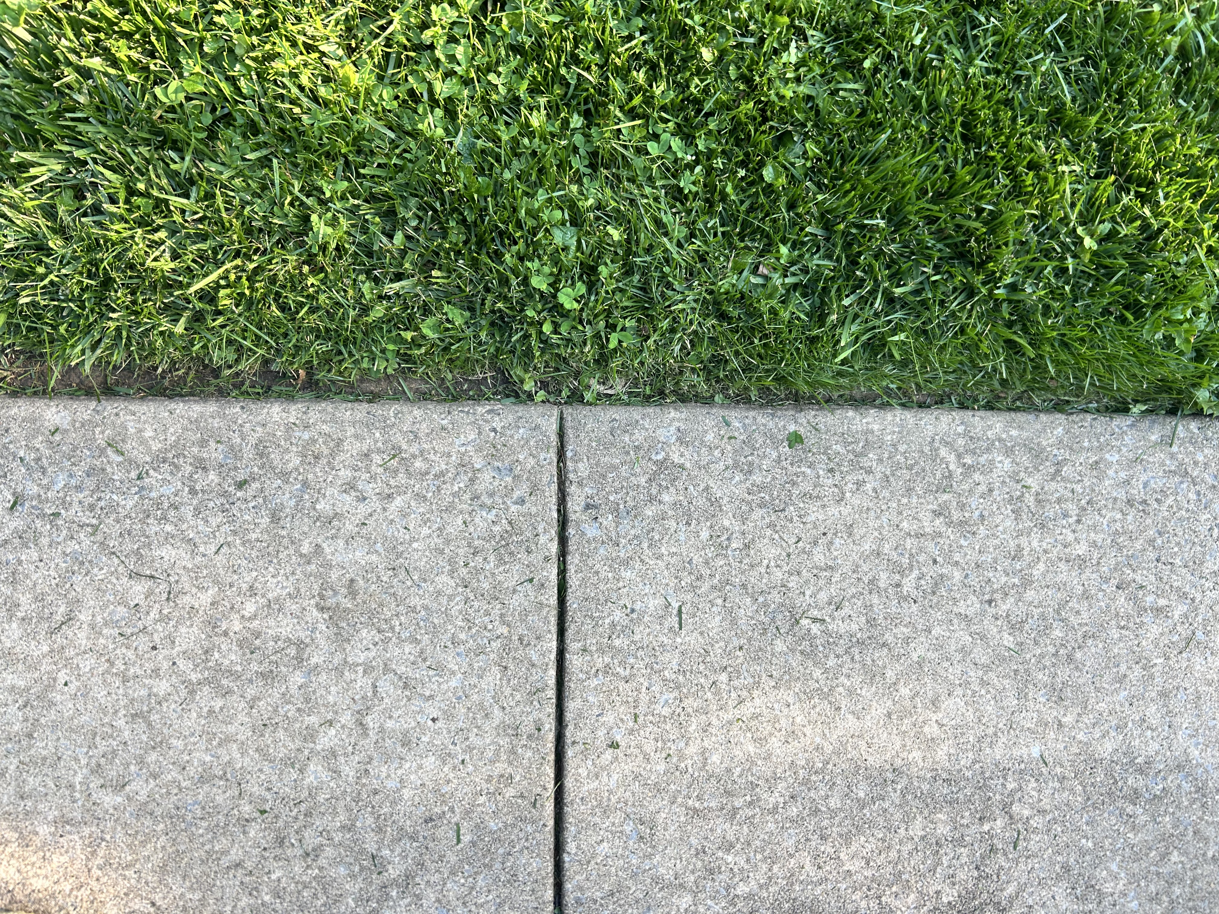 Lawn photo 3